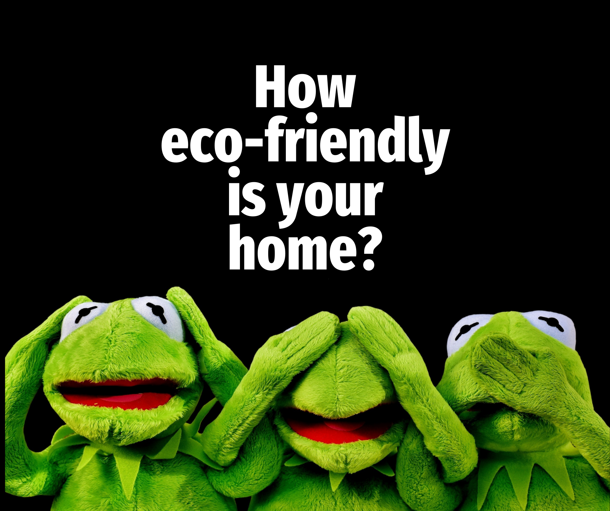 How Eco-Friendly Are Northwood Homes?